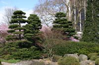 japanischer Garten in Hamburg Planten&Blomen